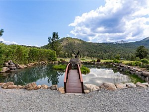 Pond Bridge 1